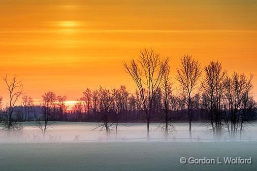 Sunrise Ground Fog_DSCF01549-51.jpg - Photographed near Smiths Falls, Ontario, Canada.